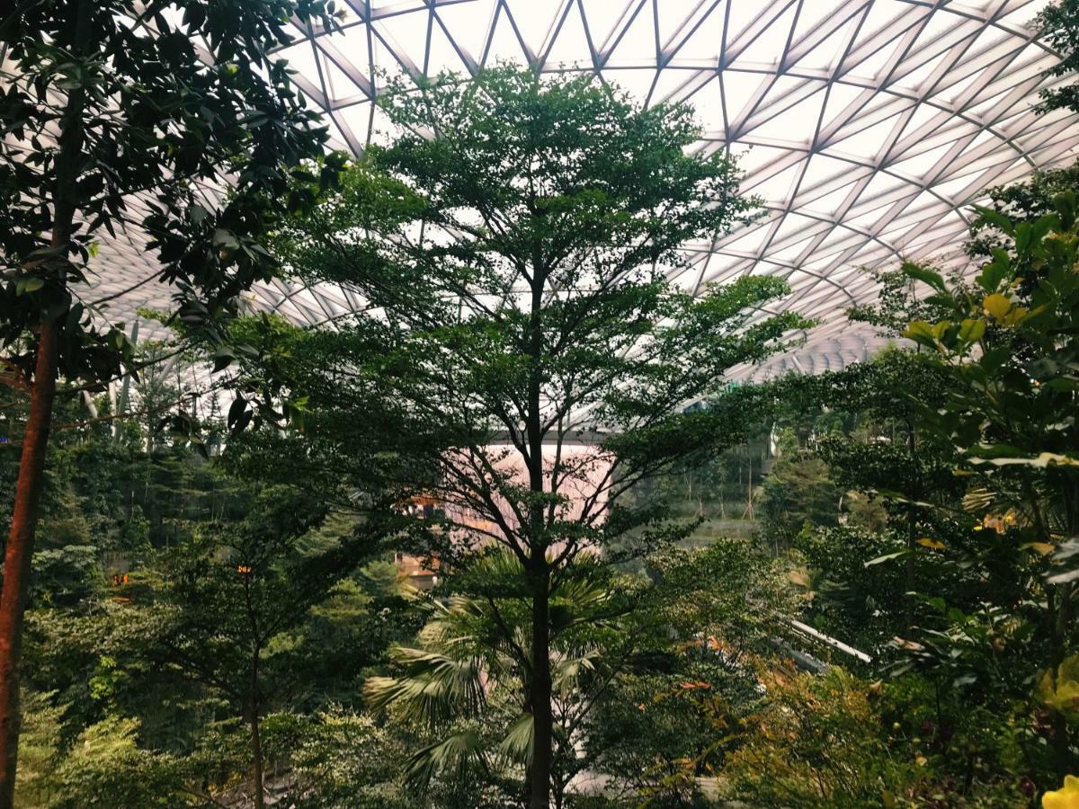 Yotelair Singapore Changi Airport Landside Eksteriør billede
